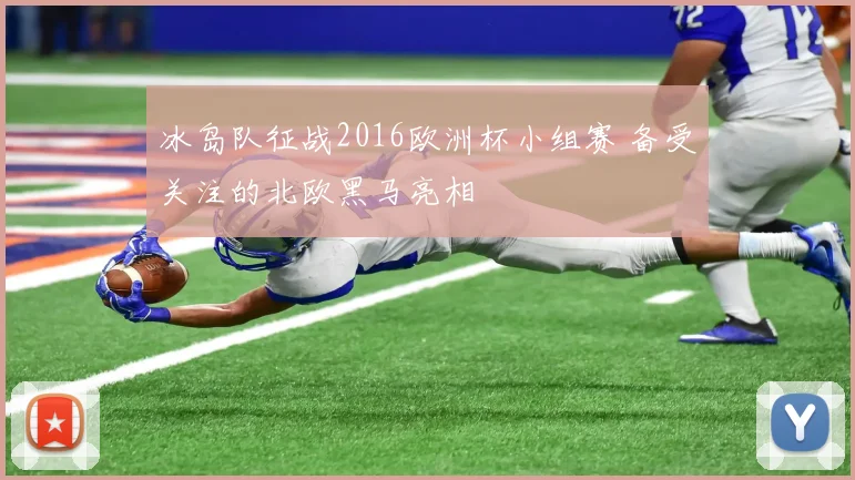 冰岛队征战2016欧洲杯小组赛 备受关注的北欧黑马亮相